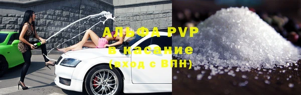 spice Богородицк
