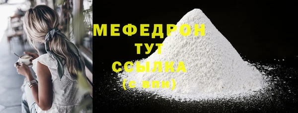 spice Богородицк