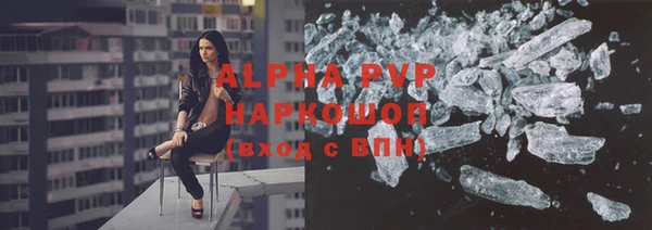 spice Богородицк