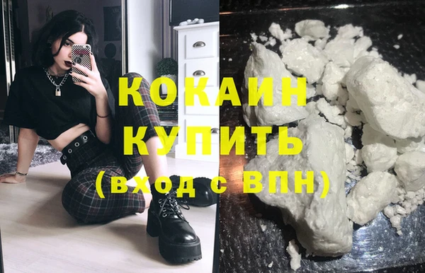 spice Богородицк