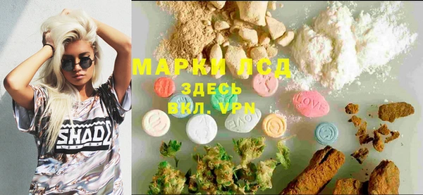 spice Богородицк