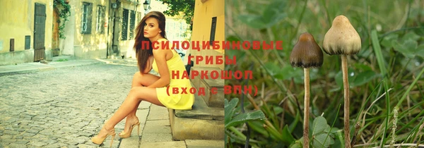 spice Богородицк