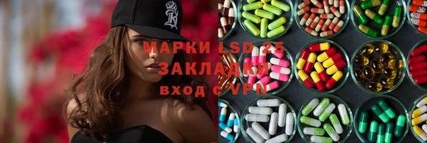 spice Богородицк