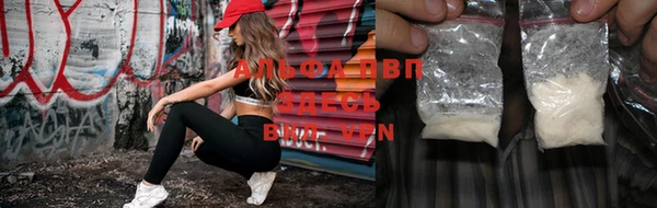 spice Богородицк